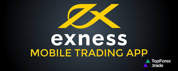 Understanding the Exness Gold Spreader Comprehensive Insights